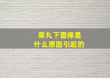 睾丸下面痒是什么原因引起的