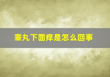 睾丸下面痒是怎么回事