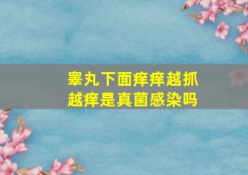 睾丸下面痒痒越抓越痒是真菌感染吗