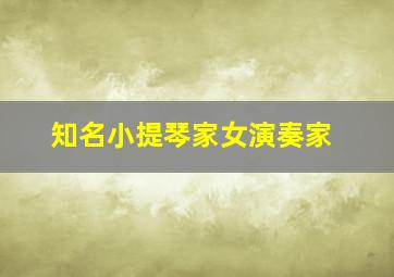 知名小提琴家女演奏家