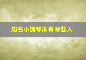 知名小提琴家有哪些人