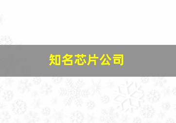 知名芯片公司