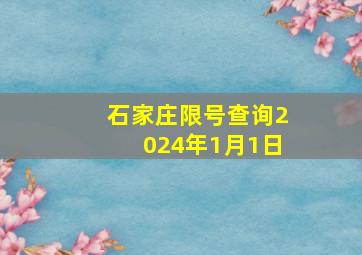 石家庄限号查询2024年1月1日