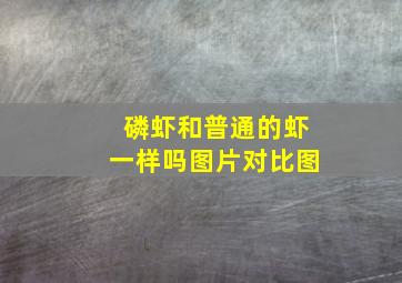 磷虾和普通的虾一样吗图片对比图