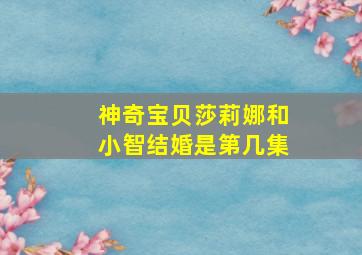 神奇宝贝莎莉娜和小智结婚是第几集