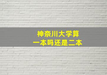 神奈川大学算一本吗还是二本