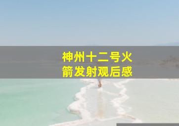 神州十二号火箭发射观后感