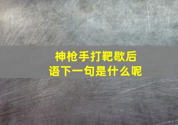 神枪手打靶歇后语下一句是什么呢