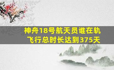 神舟18号航天员谁在轨飞行总时长达到375天