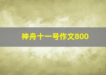 神舟十一号作文800