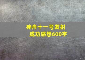 神舟十一号发射成功感想600字