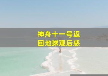 神舟十一号返回地球观后感