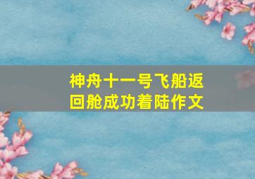 神舟十一号飞船返回舱成功着陆作文