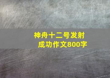 神舟十二号发射成功作文800字