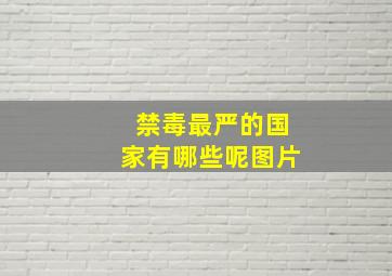 禁毒最严的国家有哪些呢图片