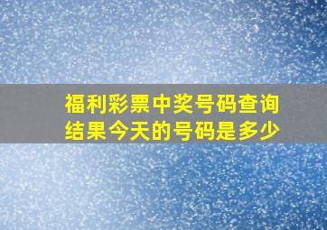 福利彩票中奖号码查询结果今天的号码是多少