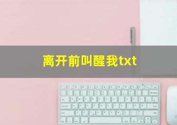 离开前叫醒我txt