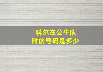 科尔在公牛队时的号码是多少