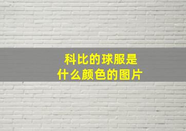 科比的球服是什么颜色的图片