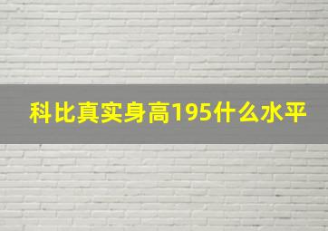 科比真实身高195什么水平