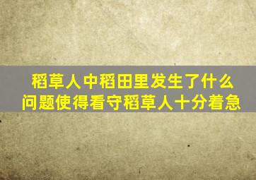 稻草人中稻田里发生了什么问题使得看守稻草人十分着急