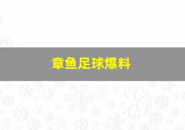 章鱼足球爆料