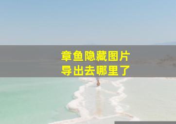 章鱼隐藏图片导出去哪里了