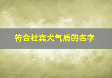 符合杜宾犬气质的名字