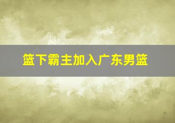 篮下霸主加入广东男篮