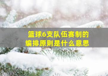 篮球6支队伍赛制的编排原则是什么意思