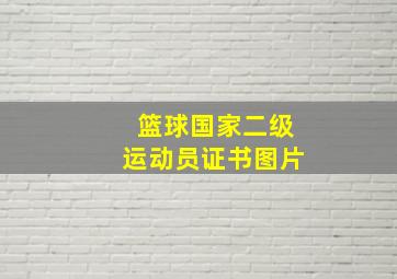 篮球国家二级运动员证书图片