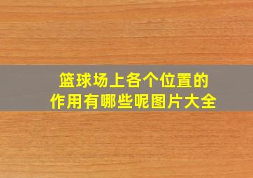 篮球场上各个位置的作用有哪些呢图片大全