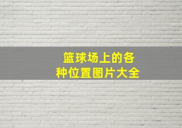 篮球场上的各种位置图片大全