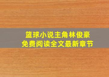 篮球小说主角林俊豪免费阅读全文最新章节