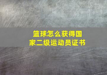 篮球怎么获得国家二级运动员证书