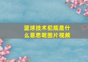 篮球技术犯规是什么意思呢图片视频