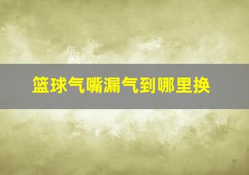 篮球气嘴漏气到哪里换