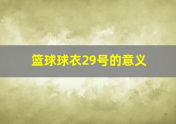 篮球球衣29号的意义