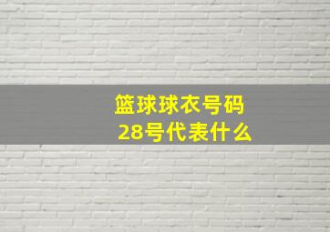 篮球球衣号码28号代表什么