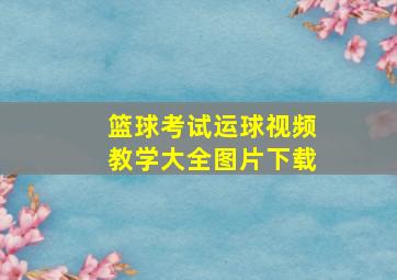 篮球考试运球视频教学大全图片下载