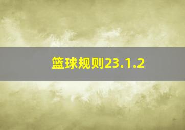 篮球规则23.1.2