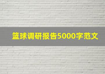 篮球调研报告5000字范文