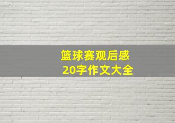 篮球赛观后感20字作文大全