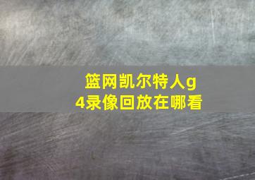 篮网凯尔特人g4录像回放在哪看