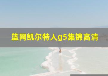 篮网凯尔特人g5集锦高清