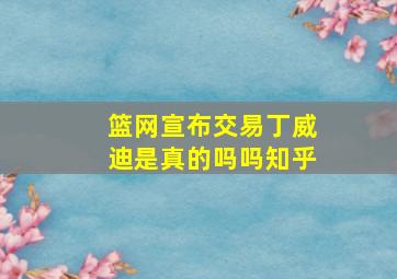 篮网宣布交易丁威迪是真的吗吗知乎