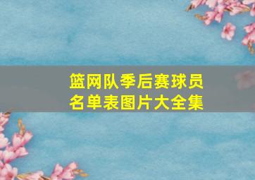 篮网队季后赛球员名单表图片大全集