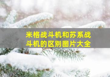 米格战斗机和苏系战斗机的区别图片大全