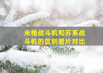 米格战斗机和苏系战斗机的区别图片对比