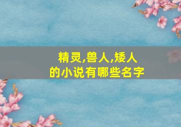 精灵,兽人,矮人的小说有哪些名字